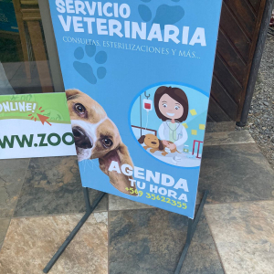 Gráfica publicitaria 18